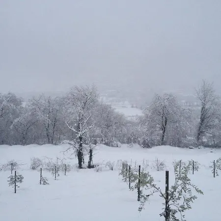 Farm stay Tenuta Castelli *